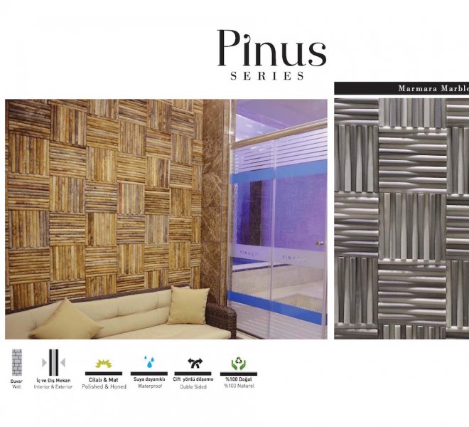 Pinus -1
