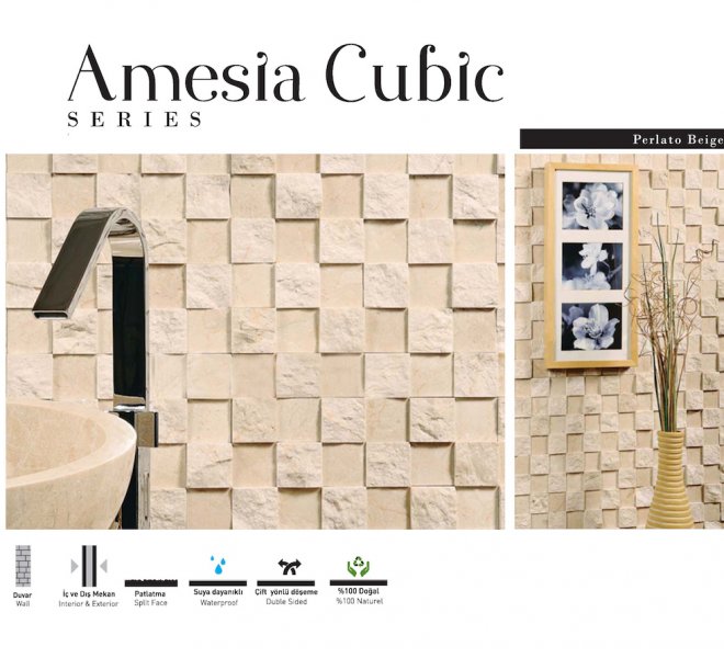 Amesia Cubic