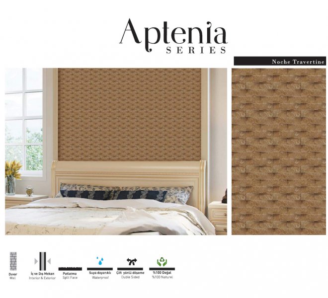 aptenia -1