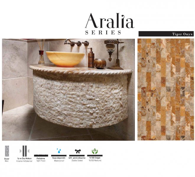 aralia -1