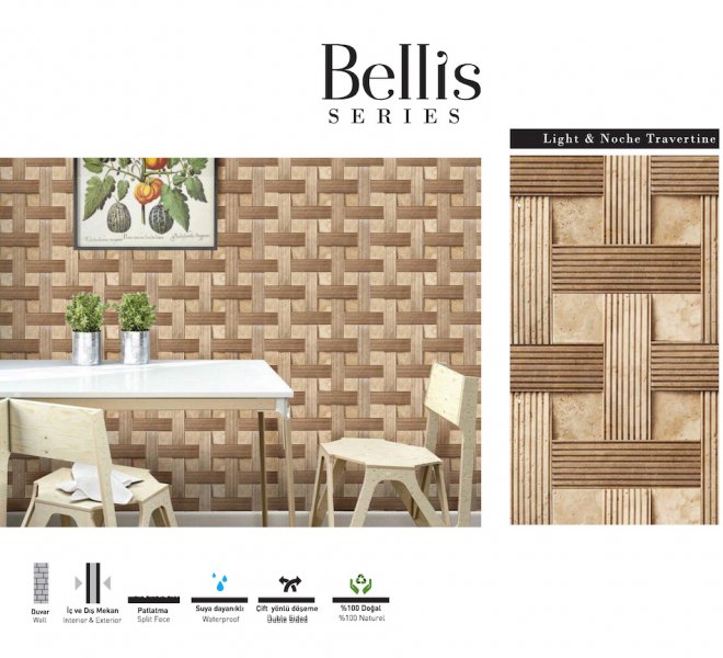 bellis -1