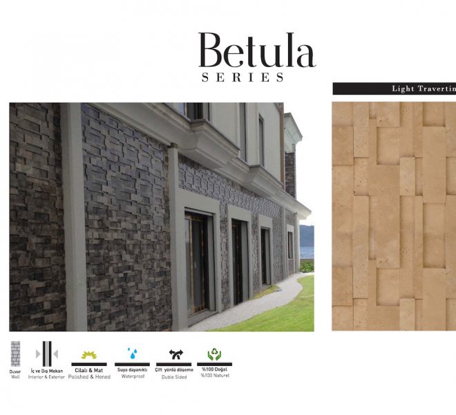betula -1