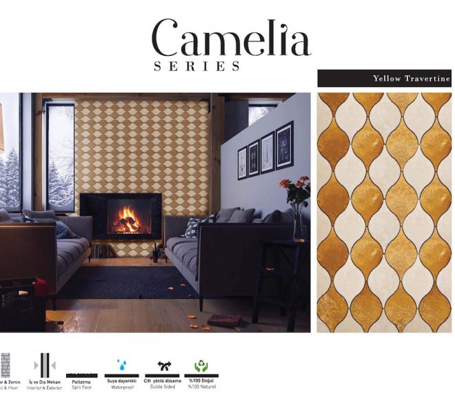 camelia -1
