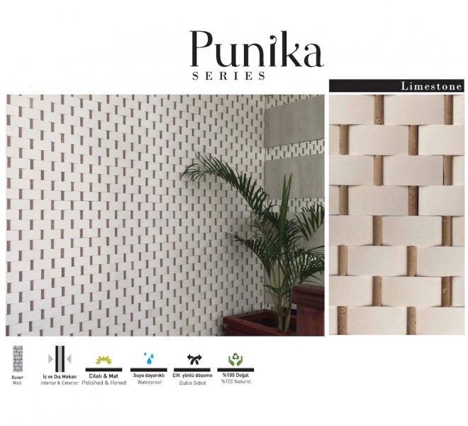 punika -1