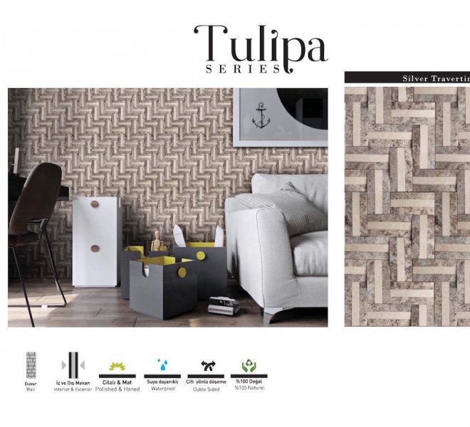 tulipa -1